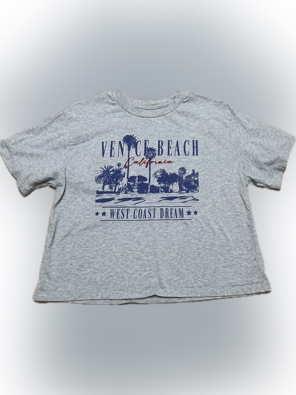 Source Unknown Gray Venice Beach Graphic Crop Top with Navy & Red Print